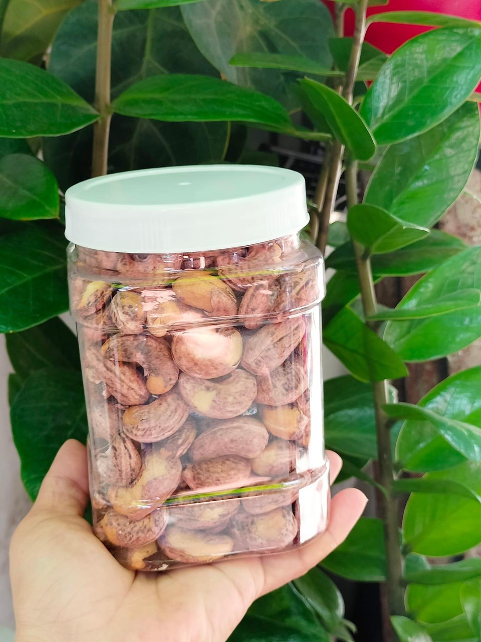 Hạt điều vỏ lụa