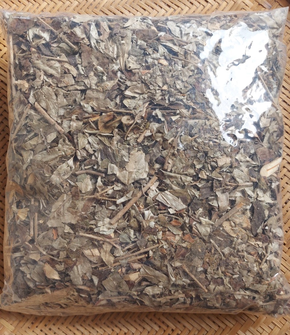 KHỔ SÂM/ KHỔ SÂM BẮC BỘ