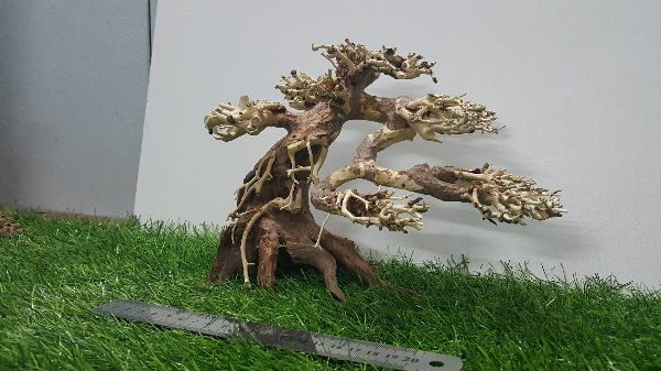 [HCM]Lũa bonsai cấy rêu ( dài23- cao16cm)