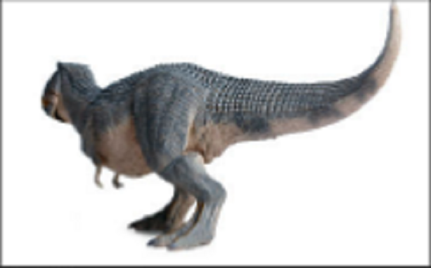 Dinosaur model tyrants T-REX super big gift set for baby, display