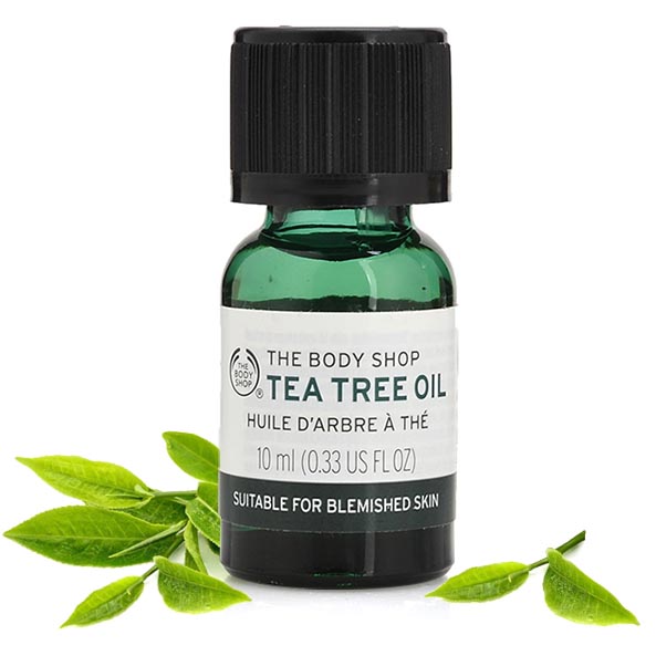Tinh dầu giảm mụn Tea Tree Oil 10ml