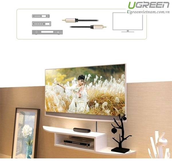 Cáp âm thanh số Coaxial 10m  Ugreen 20742 cao cấp