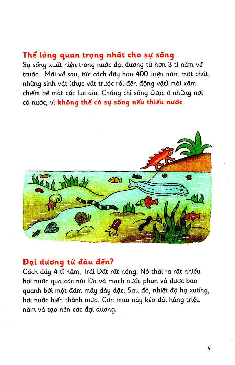 Những Bước Đi Nhỏ - Nước