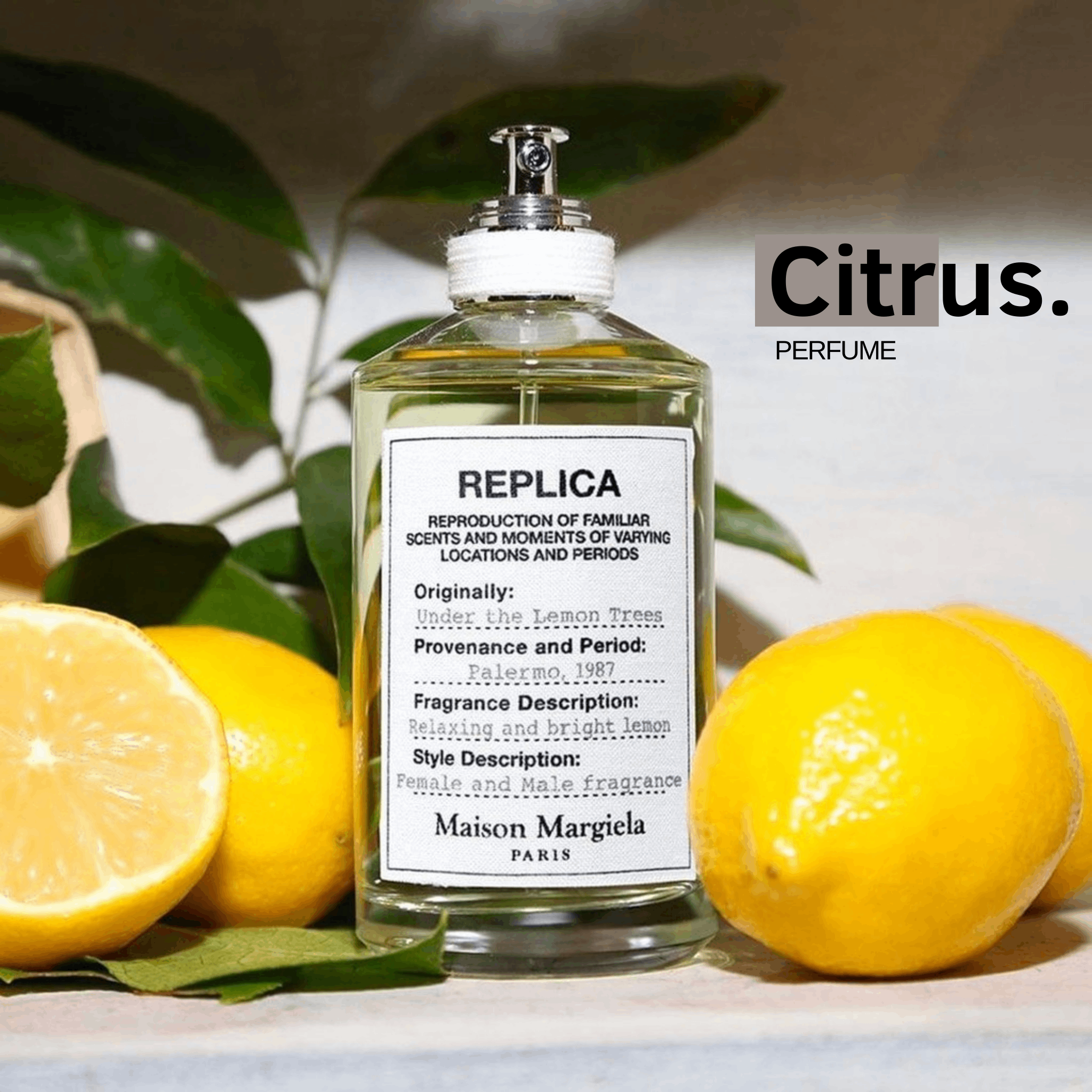 10ml Rep.lica Under the Lemon Tree | Nước hoa unisex | Citrus Perfume