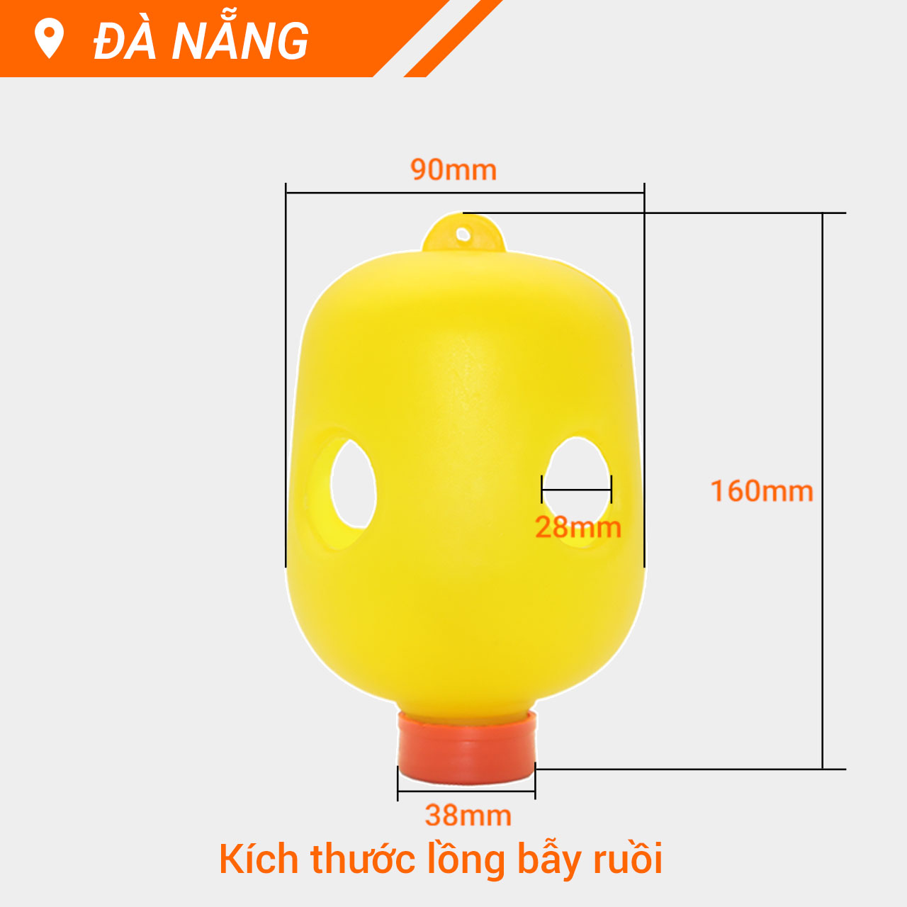 Lồng bẫy ruồi