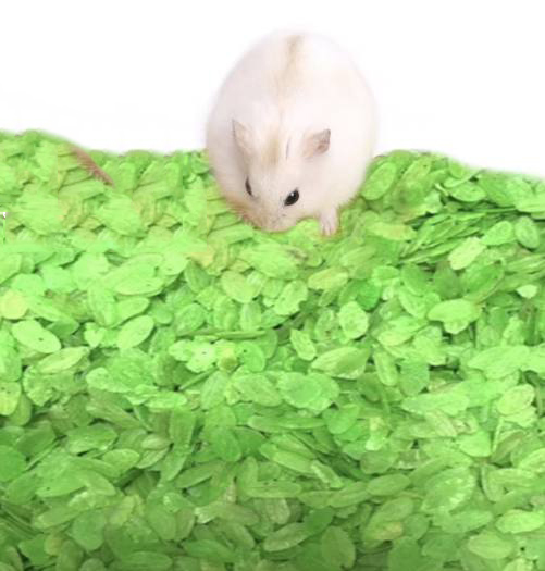 Cốm Dẹp Xanh Cho Hamster 25g - [Nông Trại Thú Cưng]