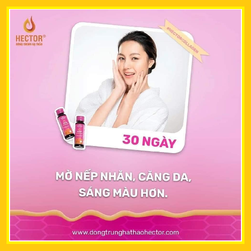 Nước đông trùng hạ thảo Hector collagen (Hộp 10 chai x 50ml)