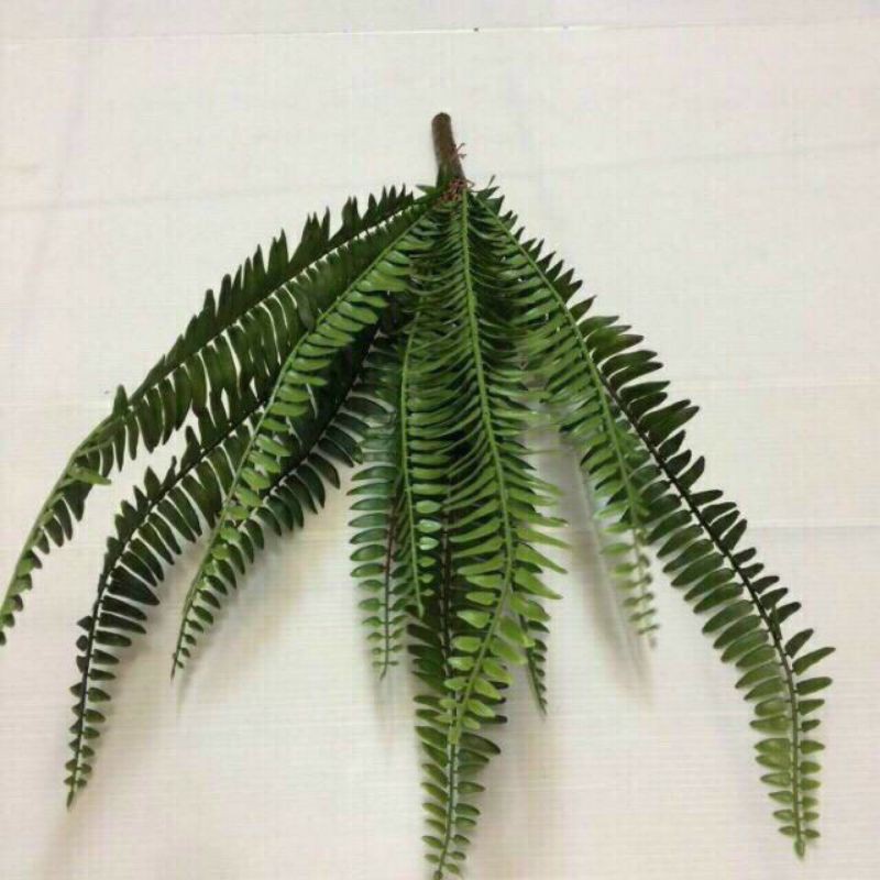 Cành dương sỉ 12 nhánh 075