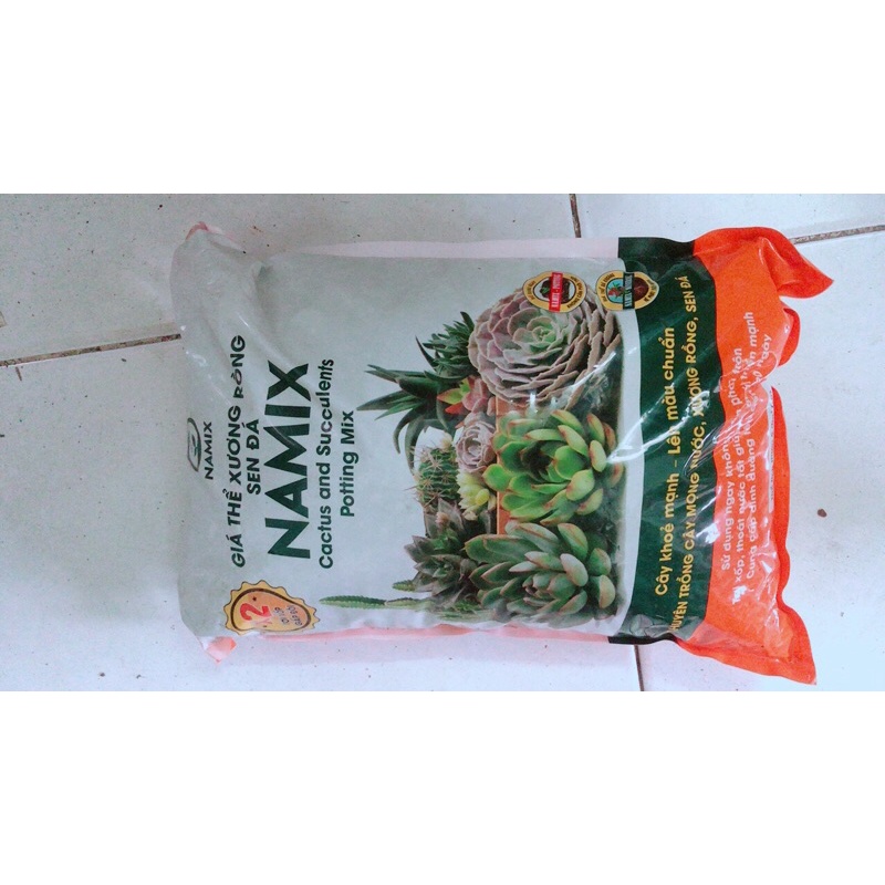 Đất Trồng Sen Đá