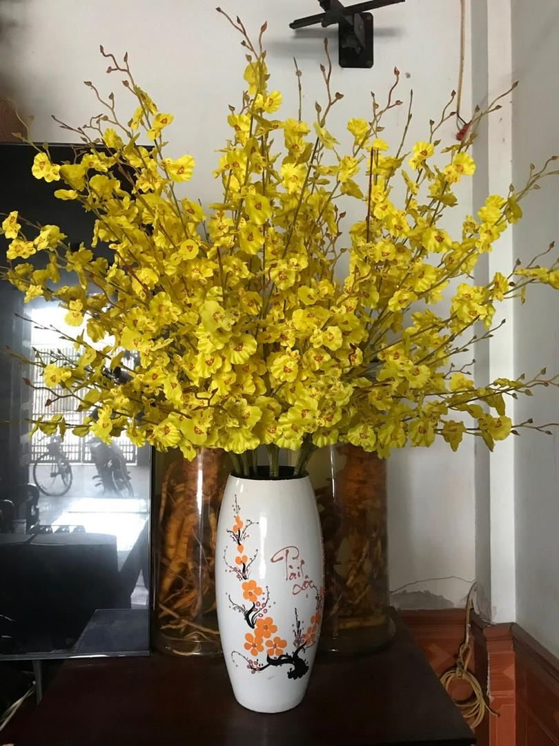 Hoa Lan Vũ Nữ 8 Nhánh, Lan Vũ Nữ Giả HL048