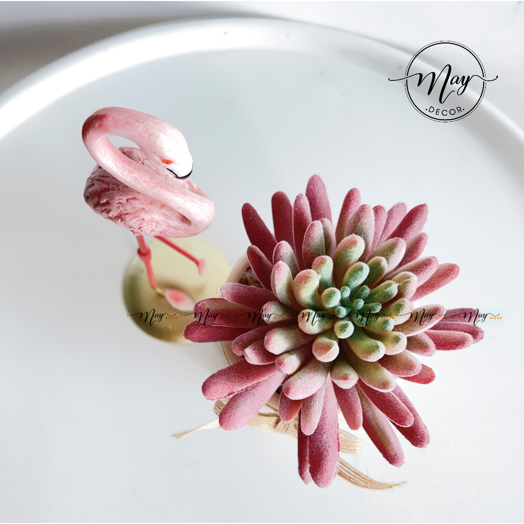 Cây giả, Sen Đá Phấn size to kèm chậu trụ 8