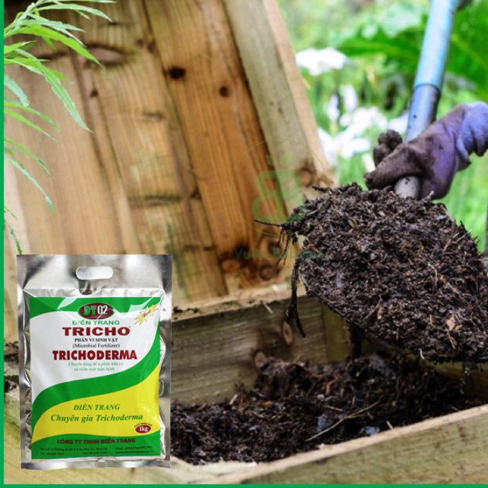 Nấm đối kháng Trichoderma Điền Trang