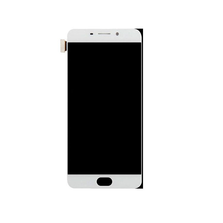 Màn hình Oppo F1 Plus / X9009 / R9