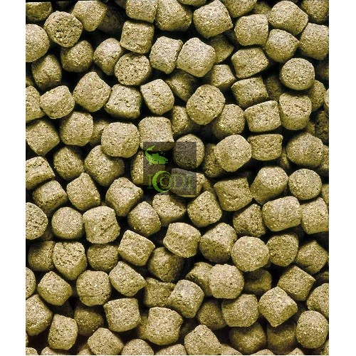 Thức ăn cho cá Hikari Cichlid Sinking Cichlid Excel