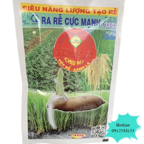 Kích rễ cây Thiên Bình (gói 40g) - VTNN Bắc Từ Liêm