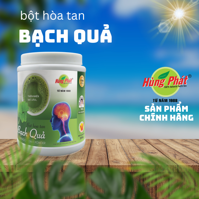 Ginkgo Soluble Powder - Hung Phat Tea