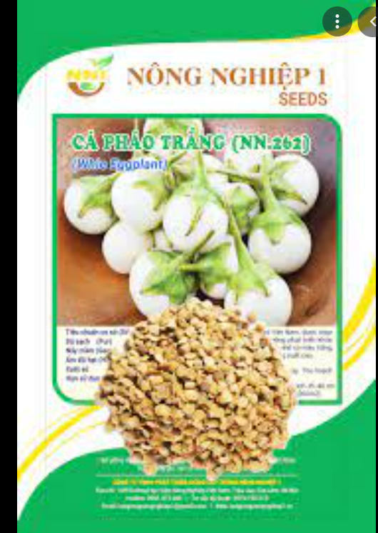 Hạt Giống Cà Pháo Trắng Cao Sản
