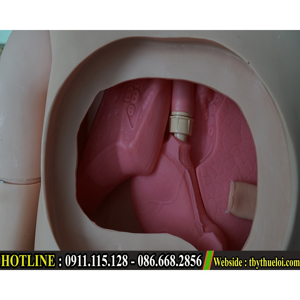 Mô hình thực hành chăm sóc điều dưỡng ( Giá 25.500.000đ)