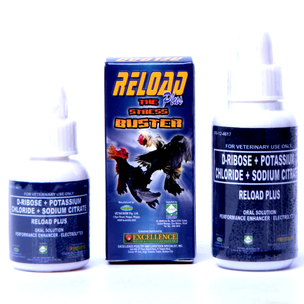Reload Plus (15ml) điện giải, dành cho gà đá.