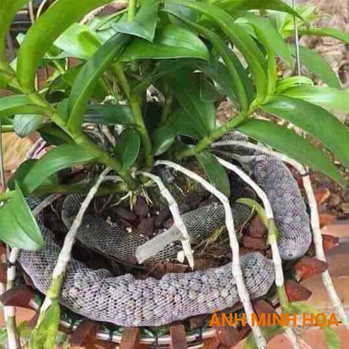Túi Lưới Đựng Phân Dê Trồng Lan (100gram)