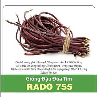 Hạt Giống Đậu Đũa Tím Rado 755 (10g)