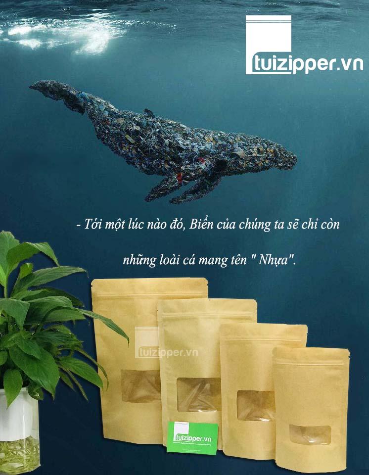 1KG TÚI ZIPPER GIẤY KRAFT CÓ CỬA SỔ