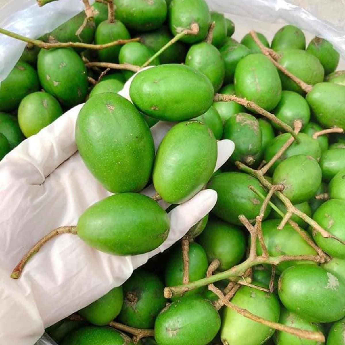 Cóc non sấy muối ớt siêu ngon