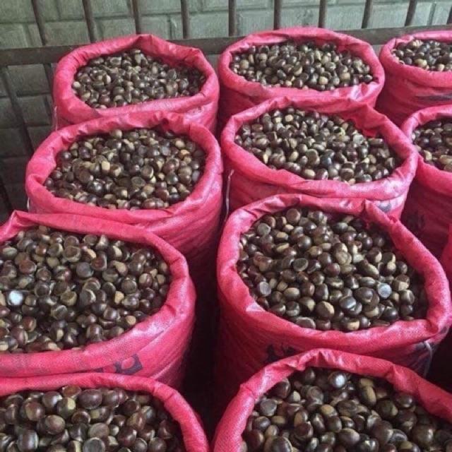 Hạt Dẻ Trùng Khánh 1Kg