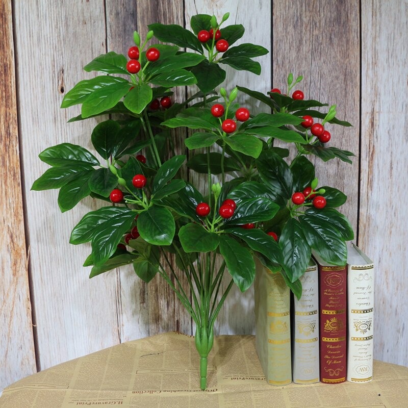 Cây quả sơ ri cao 70cm chưa chậu