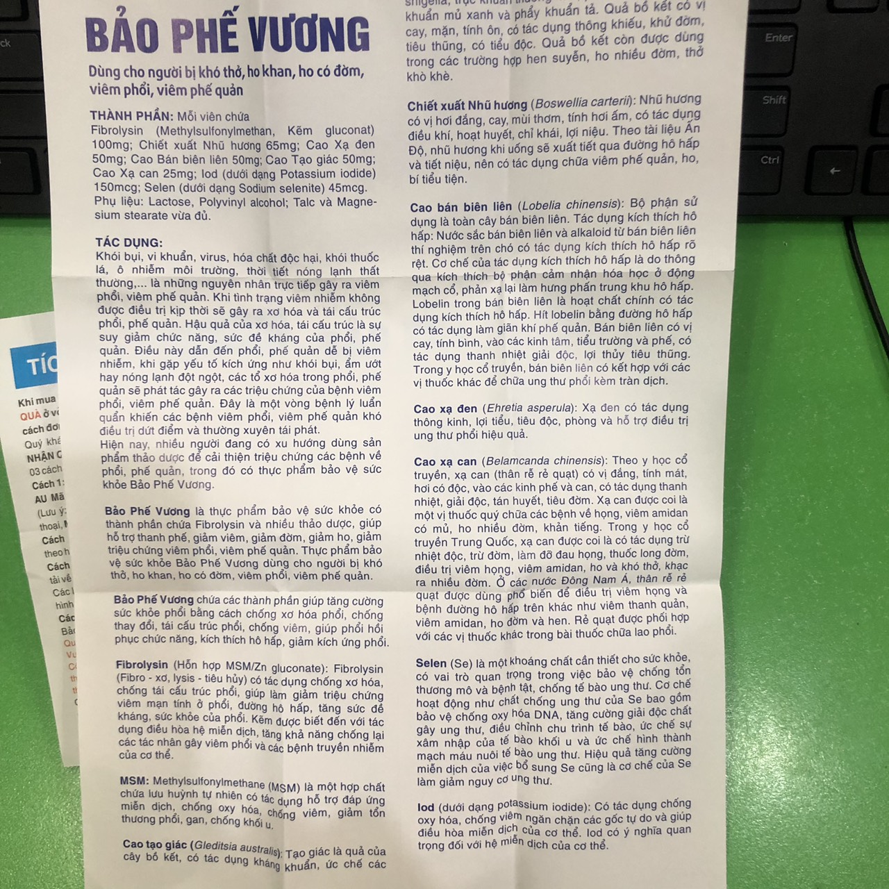 Bảo Phế Vương