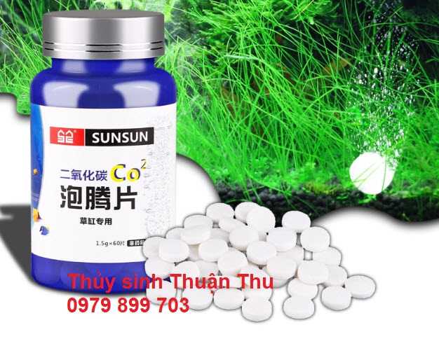 Viên nén Co2 hủ 60 viên cung cấp Co2 cho bể thủy sinh