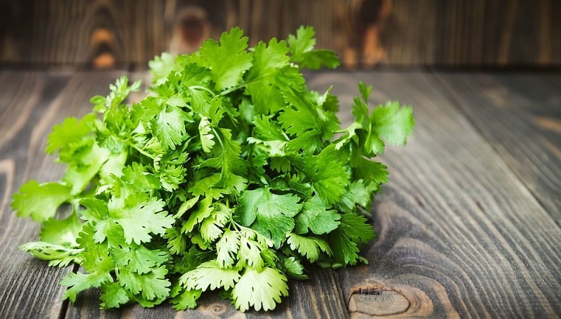 🌿Hạt Giống Rau Mùi Ngò Rí 🌿 (Dễ Trồng, Nảy mầm tốt, năng suất cao) - 20gr/gói