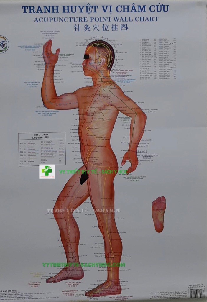 Ttanh châm cứu 3 tờ