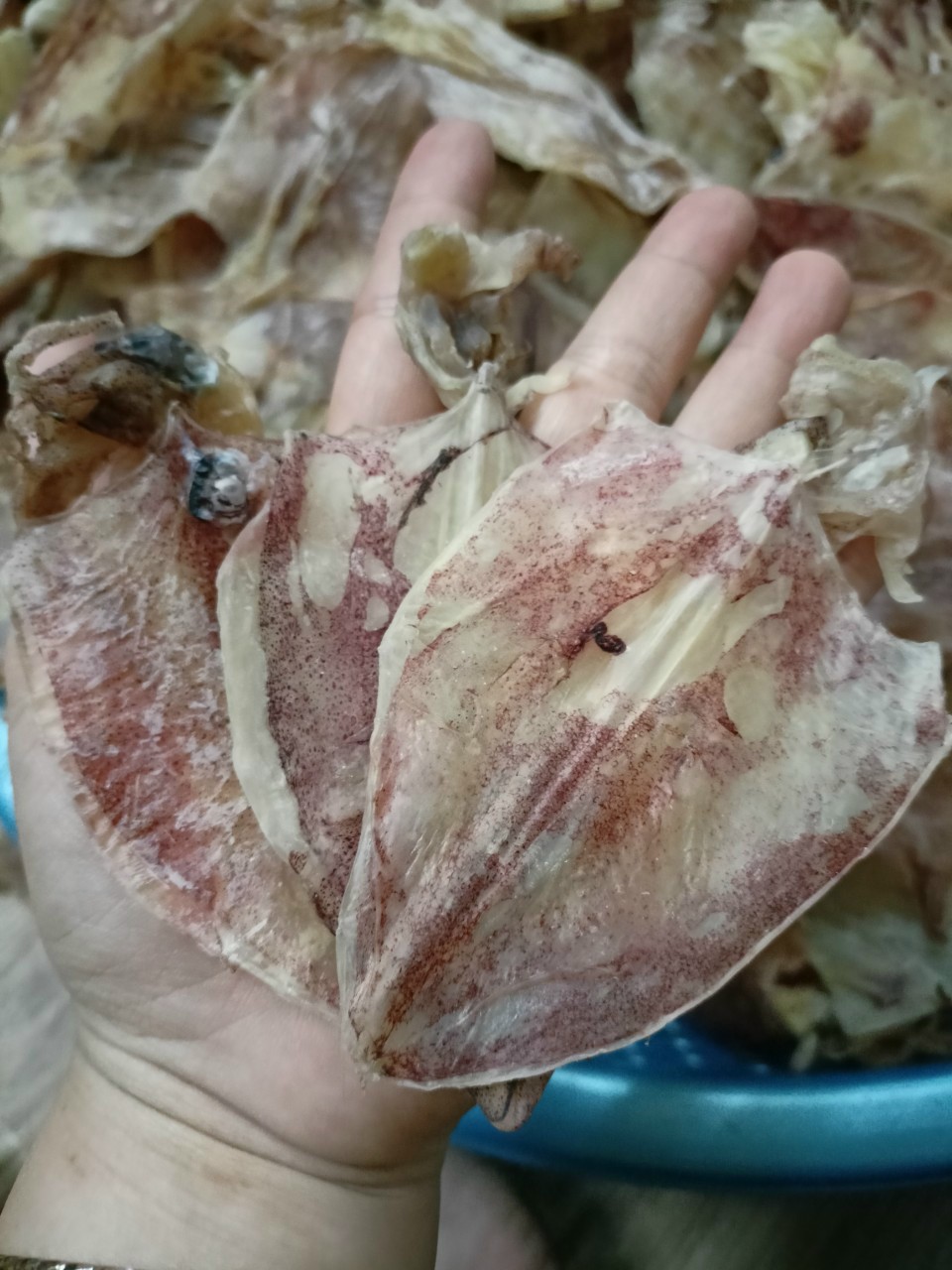 1KG KHÔ MỰC ĐỒNG TIỀN CÀ MAU