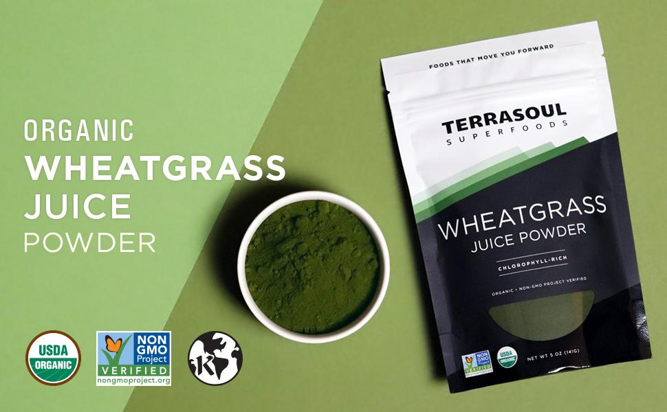 Bột Nước Ép Cỏ Lúa Mì Hữu Cơ Terrasoul Superfoods 141g