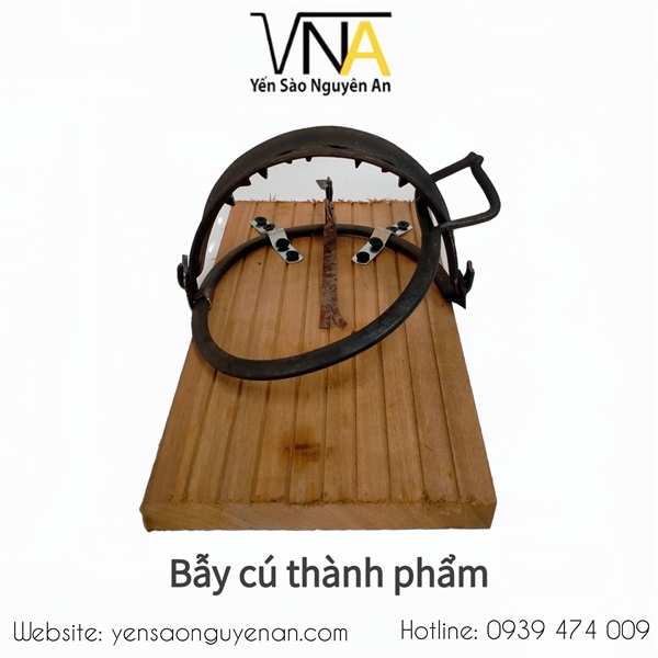 BẪY SẮT KẸP CHIM CÚ