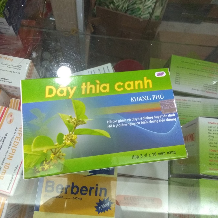 Dây thìa canh khang phú -Hỗ trợ người bệnh tiểu đường , kiểm soát đường huyết.