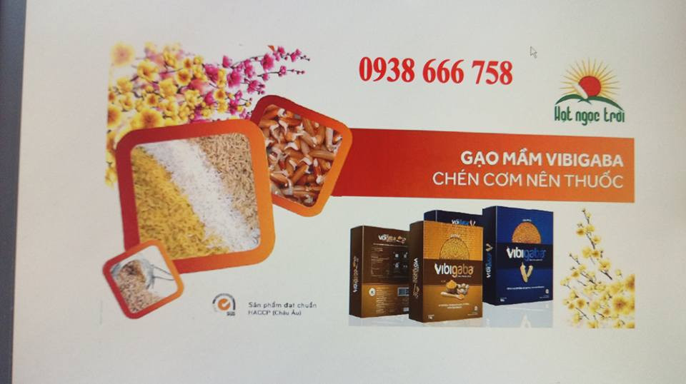 [HCM]GẠO MẦM VIBIGABA -HỘP 1KG