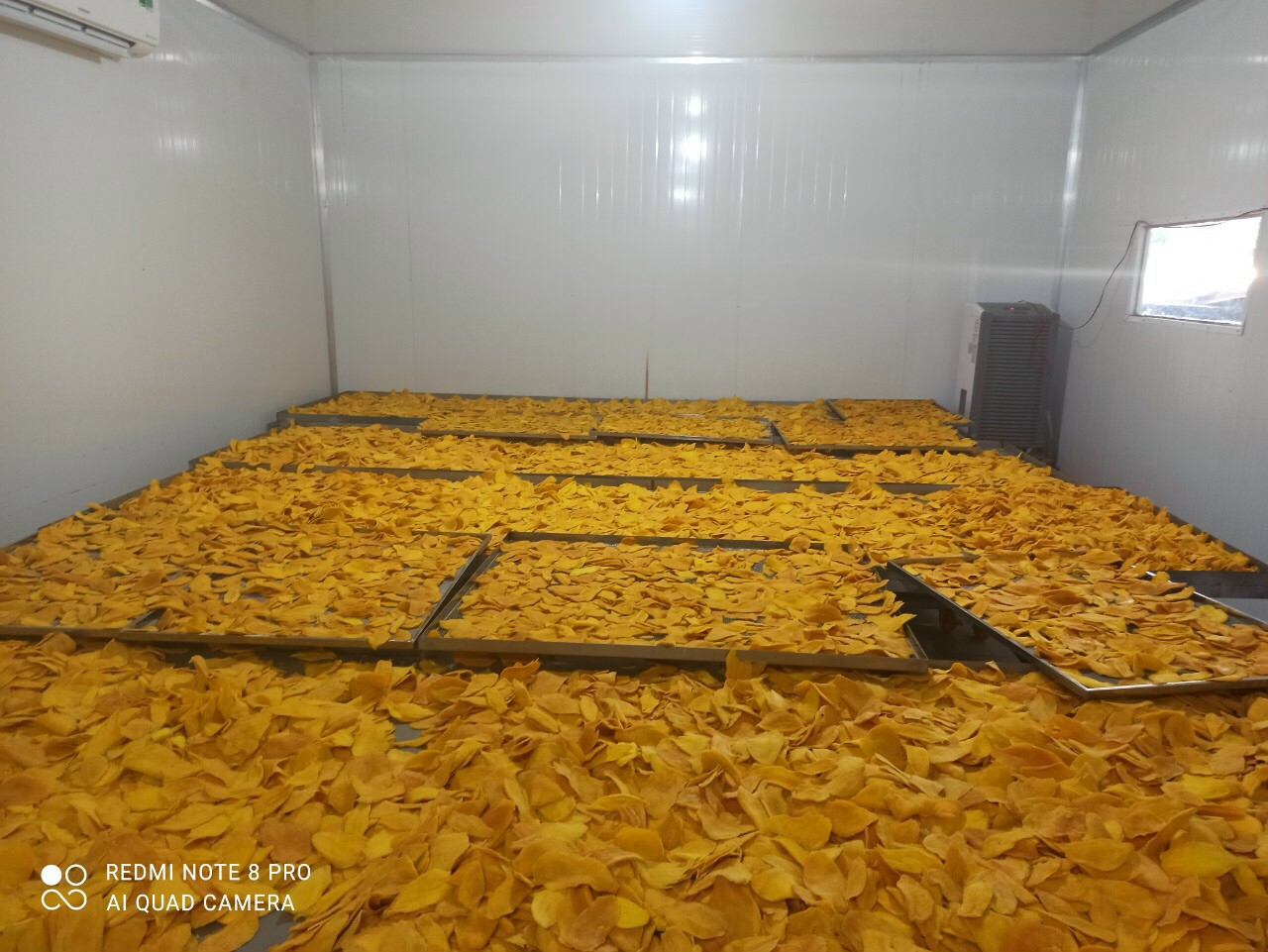 500G XOÀI SẤY DẺO