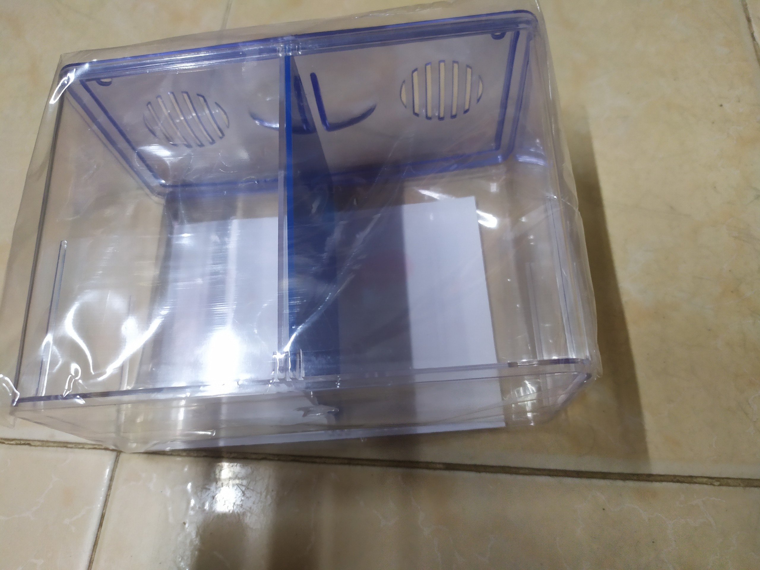 [HCM]Hồ Cá Betta 2 Ngăn Bằng Nhựa