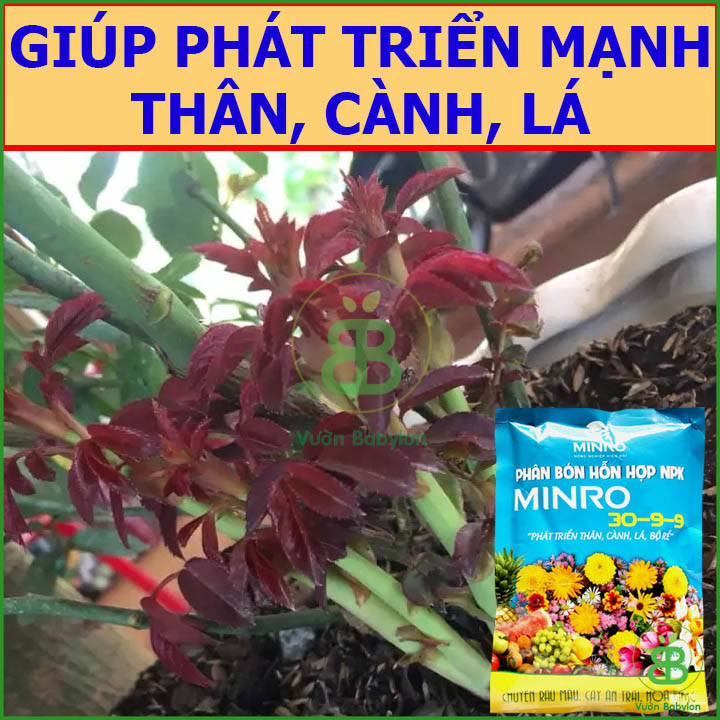 200Gr Phân Bón NPK Phát Triển Thân Lá Cành MINRO 30-9-9