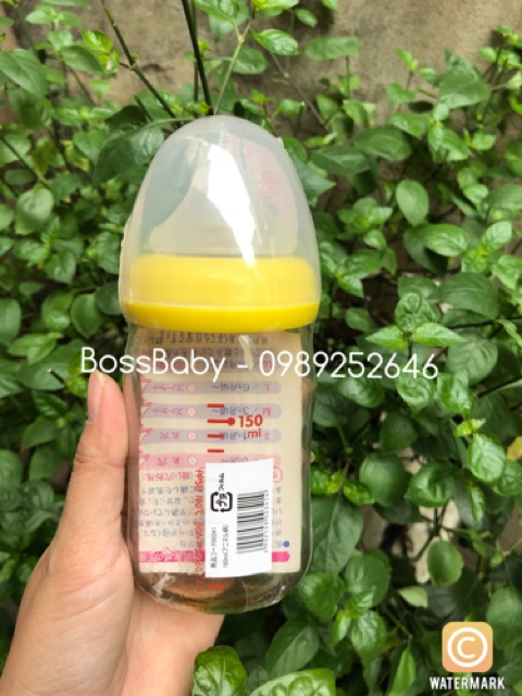 Bình Pigeon Thái Lan 160Ml/240Ml
