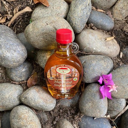 SI RÔ HỮU CƠ LÁ PHONG - ORGANIC MAPLE SYRUP 250ml - echo mountain maple