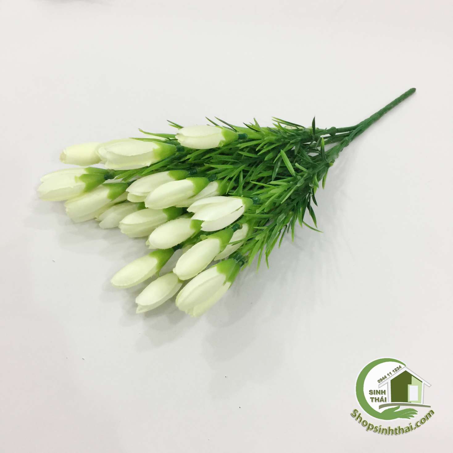[HCM]Bụi Hoa Tulip Nhí Màu Trắng
