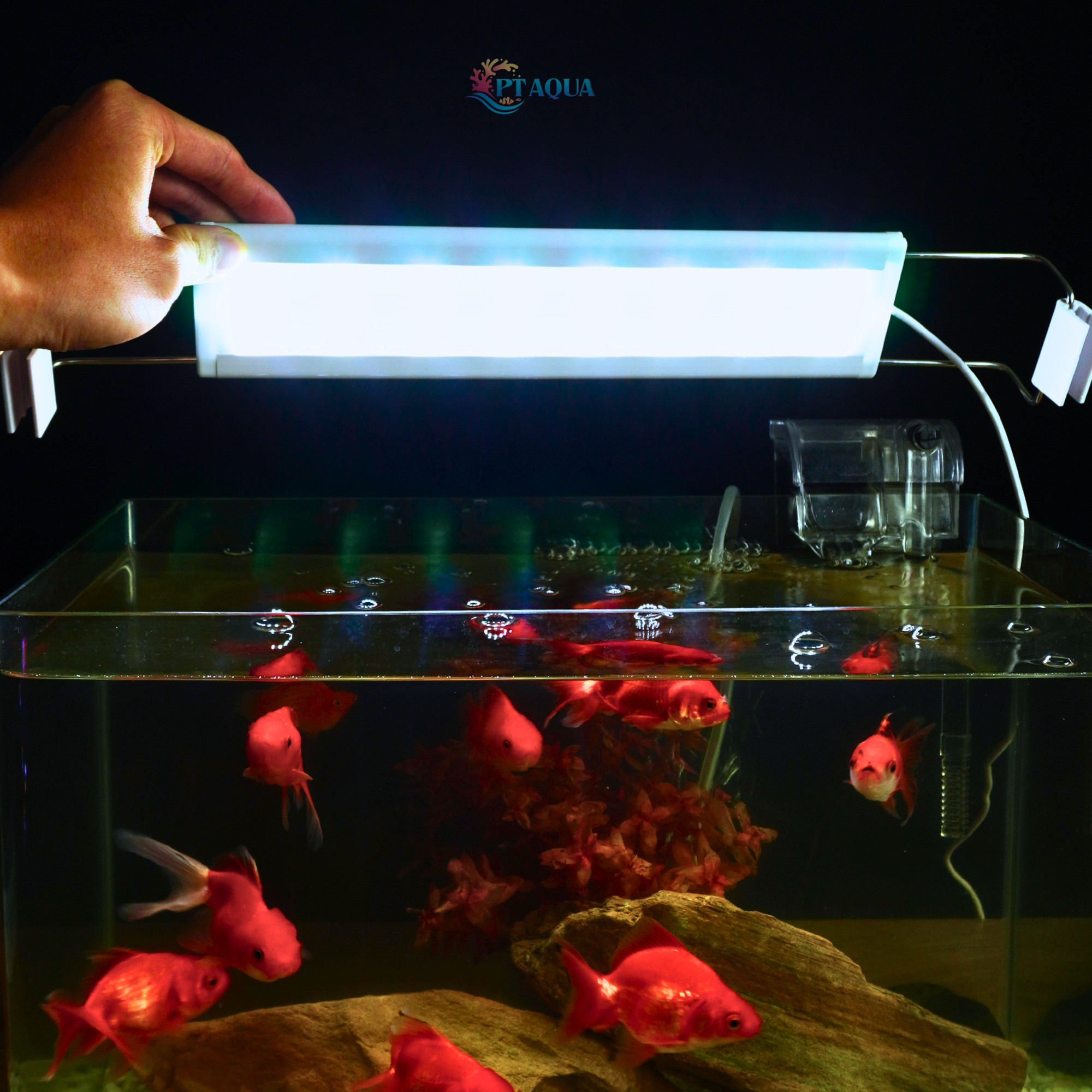 Đèn bể cá 6 DÃY LED 20cm - 90cm cho hồ cá, hồ thủy sinh từ 20 đến 110cm