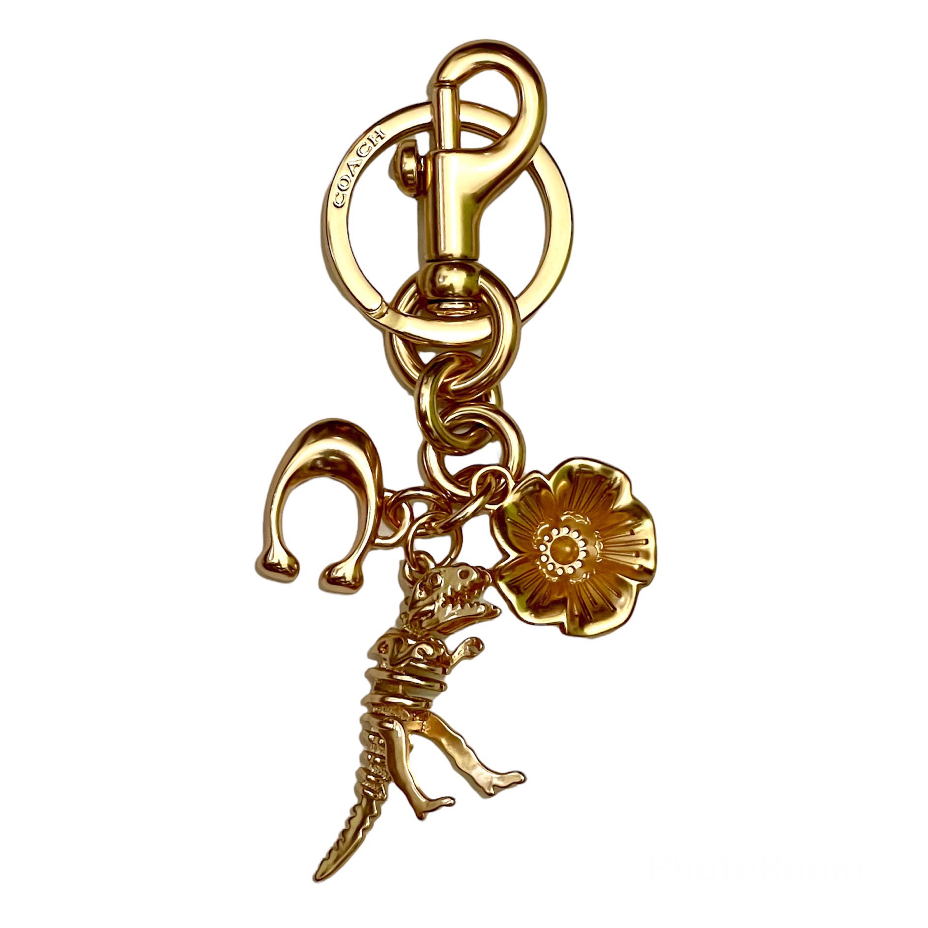 Top 77+ imagen coach charm