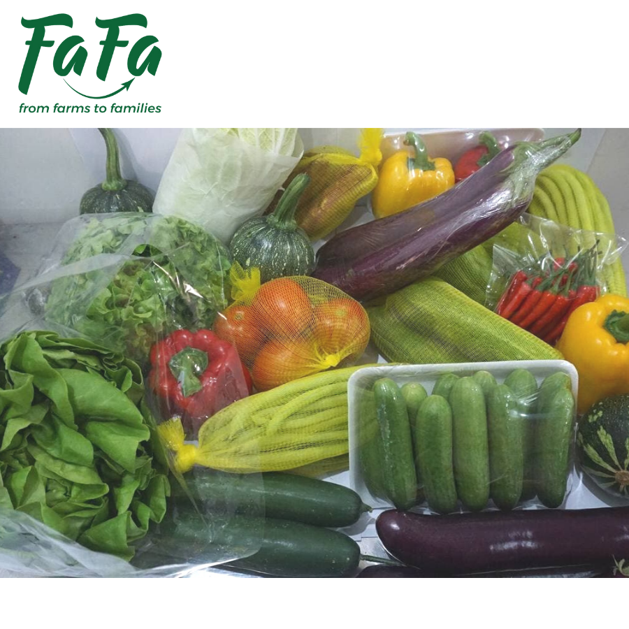 Dưa Leo FAFA 500gr/túi
