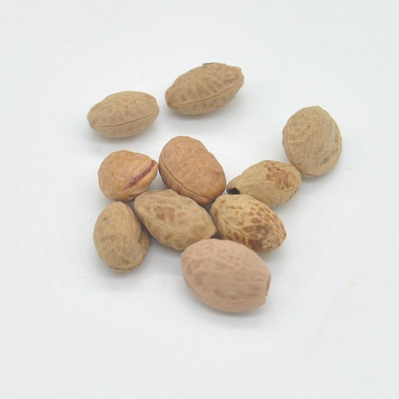 [ SP Mới Về] - Hạt giống cherry