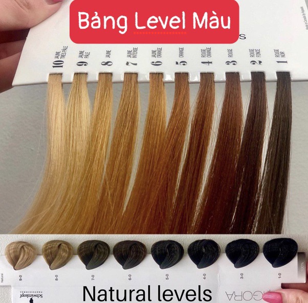 Nhuộm tóc màu Xanh Đen Blue Black mix 0/28