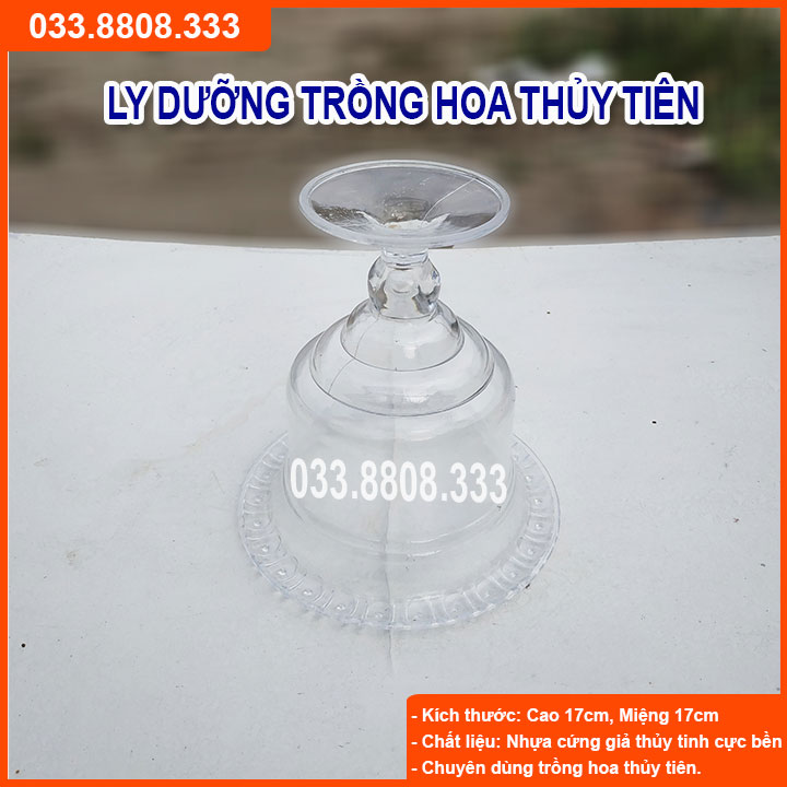 [Có sẵn] 10 Ly nhựa trồng hoa thủy tiên